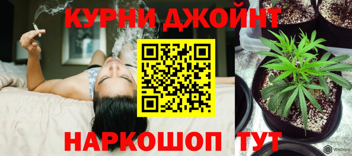 Шишки марихуана VHQ  Марихуана планчик  Канабис Bruce Banner  Бошки Шишки VHQ  Солнечногорск  Вход с VPN 